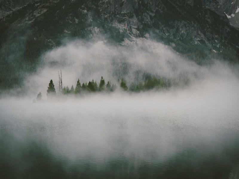 sudoku championship screenshot 3